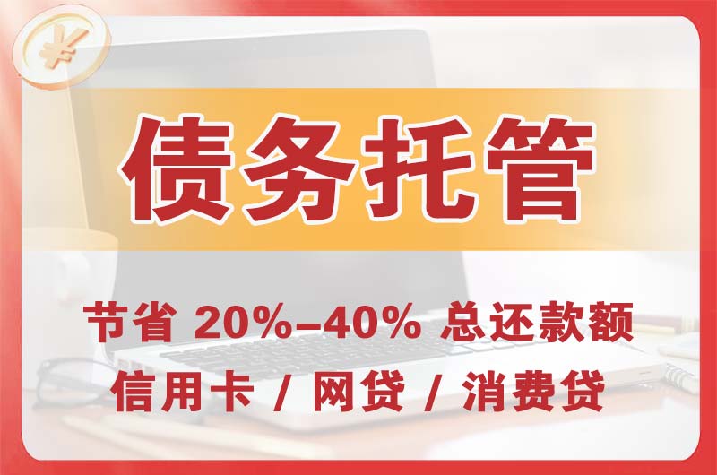 儋州债务托管